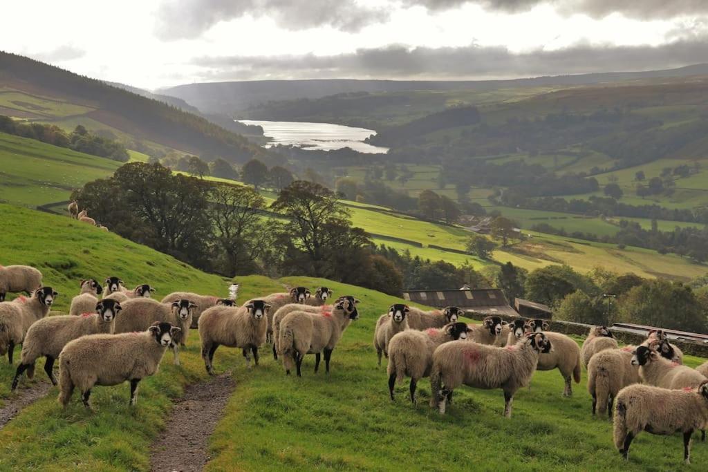 Wensleydale Halls Leyburn Eksteriør bilde